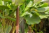 306/22-36 Mitre Street, Port Douglas, Qld 4877-Image