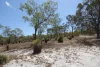 306 Bells Road, Rodds Bay, Qld 4678-Image