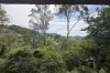 306 Nambour Mapleton Road, Burnside, Qld 4560-Image