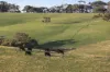 307 Bollaparudda Road, Parawa, SA 5203-Image