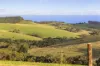 307 Bollaparudda Road, Parawa, SA 5203-Image