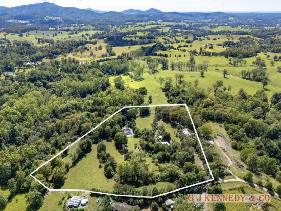 308 Lower Buckrabendinni Rd, Buckra Bendinni, NSW 2449