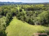 308 Lower Buckrabendinni Rd, Buckra Bendinni, NSW 2449-Image
