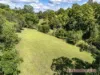 308 Lower Buckrabendinni Rd, Buckra Bendinni, NSW 2449-Image