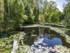308 Lower Buckrabendinni Rd, Buckra Bendinni, NSW 2449-Image