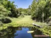 308 Lower Buckrabendinni Rd, Buckra Bendinni, NSW 2449-Image