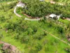 308 Northstar Road, Acacia Hills, NT 0822