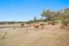 308 Thagoona Haigslea Road, Mount Marrow, Qld 4306-Image