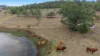 308 Thagoona Haigslea Road, Mount Marrow, Qld 4306-Image