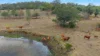 308 Thagoona Haigslea Road, Mount Marrow, Qld 4306-Image