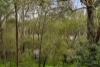 309 Catani Boulevard, Bend Of Islands, Vic 3097-Image