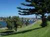 30A Richardson Avenue, Glenelg North, SA 5045-Image