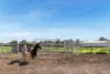 31-33 Germantown Road, Two Wells, SA 5501-Image