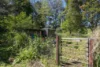 31/78 CECIL STREET, Nimbin, NSW 2480-Image