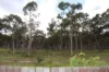 31 Aird Street, Sandstone Point, Qld 4511-Image