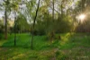 31 Alandale Road, Blackburn, Vic 3130-Image