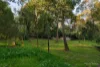 31 Alandale Road, Blackburn, Vic 3130-Image