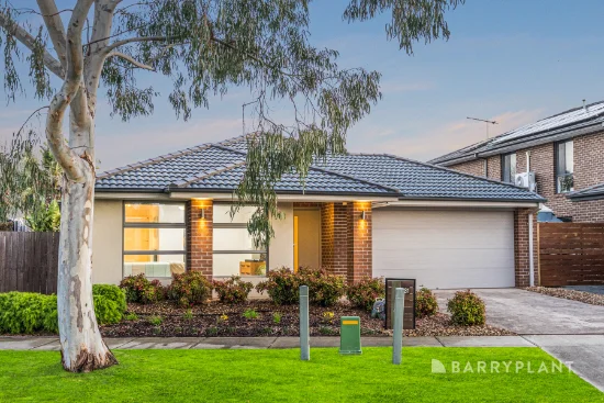 31 Ambrosia Drive, Armstrong Creek, Vic 3217