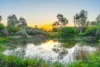 31 Ambrosia Drive, Armstrong Creek, Vic 3217-Image