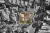 31 Anne Crescent, Brighton, Vic 3186-Image