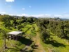 31 Arkinstall Road, Tuntable Creek, NSW 2480-Image