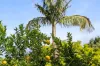 31 Arkinstall Road, Tuntable Creek, NSW 2480-Image