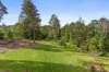31 Arkinstall Road, Tuntable Creek, NSW 2480-Image