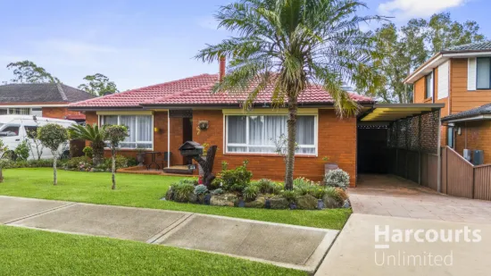 31 Benaud Street, Greystanes, NSW 2145