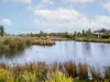 31 Berrybank Terrace, Botanic Ridge VIC 3977-Image