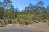 31 Bluebird Ct, Greenbank, Qld 4124-Image