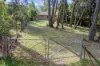 31 Braeside Street, Blackheath, NSW 2785-Image