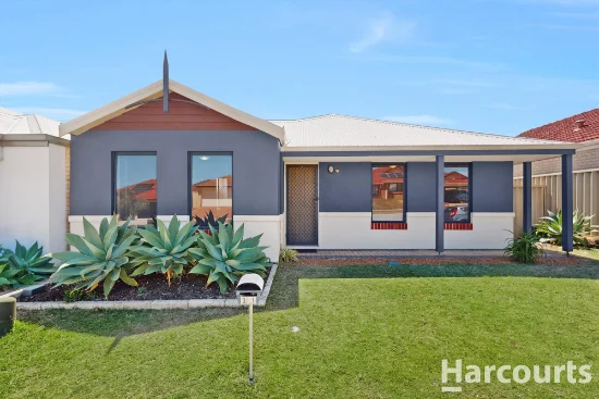 31 Bramshott Approach, Butler, WA 6036