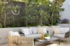 31 Breillat Street, Annandale, NSW 2038-Image