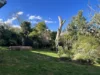 31 Caalong Street, Robertson, NSW 2577-Image