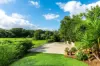 31 Charlotte Street, Bangalow, NSW 2479-Image