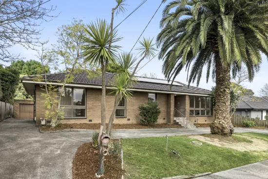 31 Cherry Tree Grove, Croydon, Vic 3136 - For Rent
