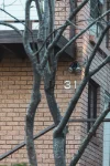 31 Como Road, Oyster Bay, NSW 2225-Image