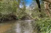 31 Copland Road, Koah QLD 4881-Image