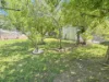 31 Cowper Street, Young, NSW 2594-Image