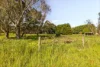 31 Curry Road, Kilmore, Vic 3764-Image