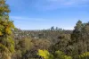 31 Dakara Drive, Frenchs Forest, NSW 2086-Image