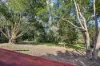 31 Donnellys Road, Ridgewood, Qld 4563-Image