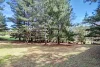 31 Dowling Street, Bendoc, Vic 3888-Image