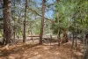 31 Dowling Street, Bendoc, Vic 3888-Image