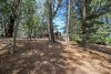 31 Dowling Street, Bendoc, Vic 3888-Image