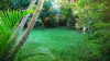 31 Gympie Road, Tinana, Qld 4650-Image
