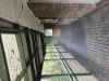 31 Haddon Crt, Carrara, Qld 4211-Image