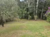 31 Haddon Crt, Carrara, Qld 4211-Image