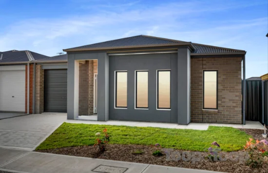 31 Hefford Avenue, Croydon Park, SA 5008