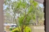 31 Horn Drive, Happy Valley, SA 5159-Image